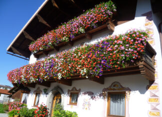 Balcone Fiorito