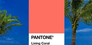colore Pantone 2019