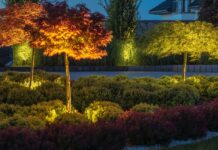 illuminazione-led-giardino