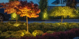 illuminazione-led-giardino