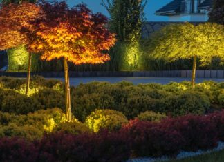 illuminazione-led-giardino